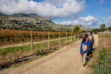 viñas Mortix, Escorca, Mallorca, balearic islands, Spain