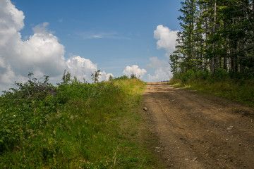 Dirt road in countryside, hiking path and nature landscape