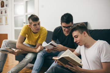 Fototapeta premium teenager boys studying at home