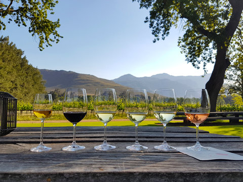 Wine tasting in Stellenbosch, South Africa. From the front: blanc de noir, chardonnay, sauvignon blanc, merlot, cabernet sauvignon.