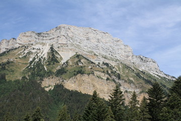 The Chartreuse mountain