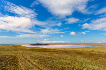 Fototapeta na wymiar Nice view of the pink lake and the sky with clouds. In the foreground is a field with a dirt road