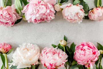 Beautiful pink peony flowers on gray stone table with copy space for your text. Flat style, top view