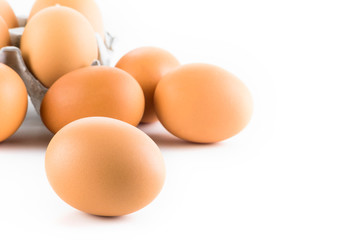 The eggs isolated on the white background