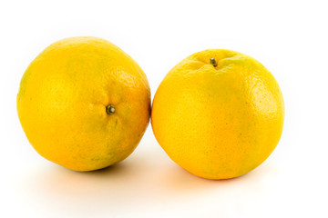 The oranges isolated on white background