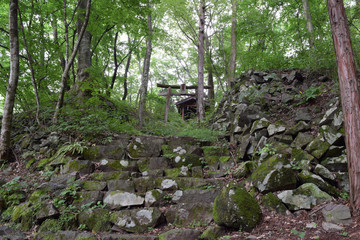 Obraz na płótnie Canvas Abandoned torii gate in forest
