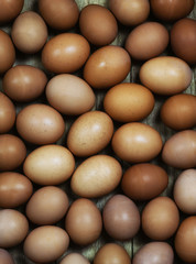 eggs texture