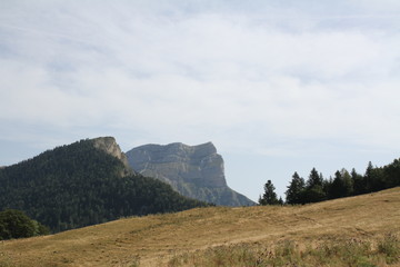 The Chartreuse mountain