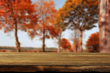 Naklejka na ściany i meble Wooden table of free space and blurred landscape of autumn 