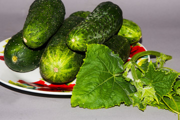 cucumber and tomato