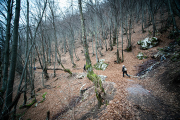 People hiking in forest in the fall season