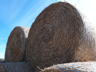 Dry straw on a background of blue sky - Poland, Parkowo 