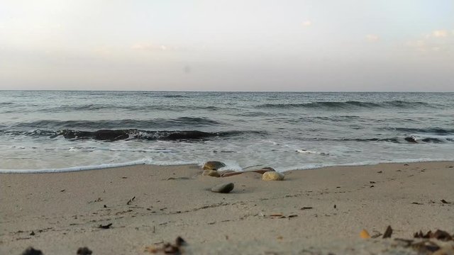 Onde del mare cariche di alghe che si infrangono sulla riva, e bagnano le pietre (parte 2)