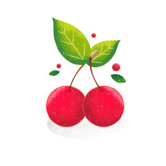 Cherry on white background. Vector card in grunge style. Noise texture shadow. Organic food. - 371177535