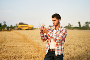 Agronomist examining cereal crop before harvesting sitting in golden field. Smiling farmer holding...