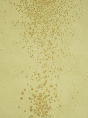 mold on brown canvas texture