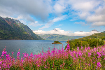 Norway summer Landscape,Lofoten island.
