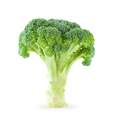 broccoli cabbage stands on white isolated background