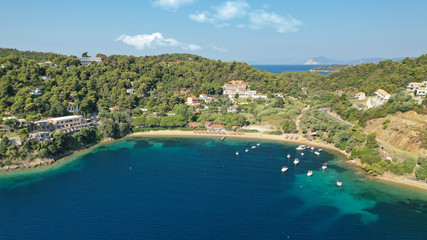 Obraz na płótnie Canvas Aerial drone photo of famous seaside area and bay of Kanapitsa with many beautiful secluded sandy beaches, Skiathos island, Sporades, Greece