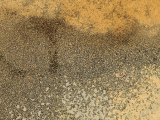 dirt ground with sand texture