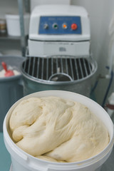 Fresh dough ready for baking in plastic basket. Preparation of bakery products