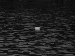 Foam bowl on water in the river, black and white tone