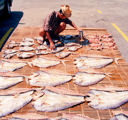 Man drying fish in Thailand.