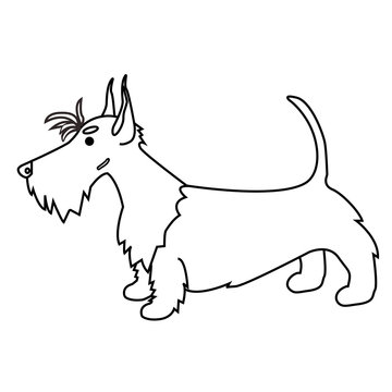 recommend clip art: Logo for pet shop. Scottish terrier in the vector. Funny dog. Illustration of white Scottish terrier . Line drawing of red scottish terrier. Cute dog.