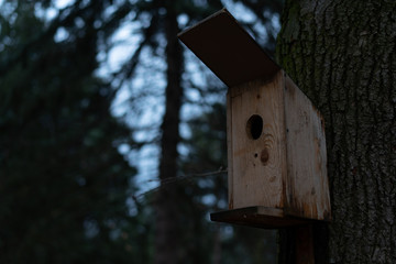Birdhouse for birds fixed on a tree