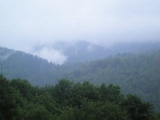 Fototapeta na wymiar Mountain landscape with trees