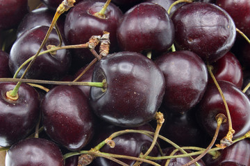 organic and  fresh red cherries 