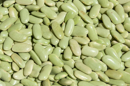 Legumbre alubias verdinas