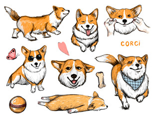 Hand drawn dogs Corgi collection. Funny Corgi stickers set.