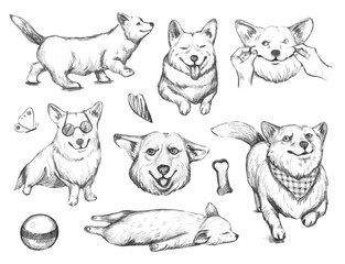 Hand drawn dogs Corgi collection. Funny cartoon Corgi stickers set.