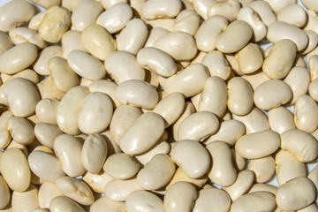 Legrumbre Judión de la Granja