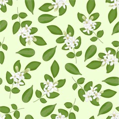 Bergamot saemless vector pattern