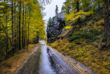 Majestic autumn alpine scenery with colorful larch forest,