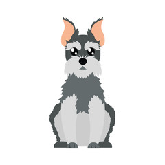cartoon schnauzer dog icon, flat style