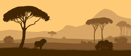 Fototapeten Schöne Vektorlandschaft der afrikanischen Savanne mit Tieren bei Sonnenuntergang. © Jan