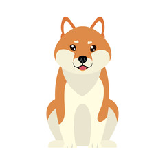 cute akita dog icon, flat style
