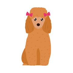 cartoon cocker spaniel dog icon, flat style