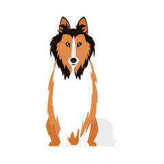 collie dog icon, flat style