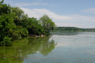 Obraz premium lake in the forest