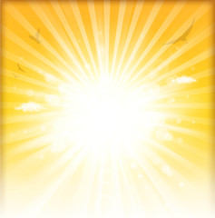 Obraz premium sunlight day