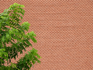 green leaf of branch tree with brown tile roof pattern background