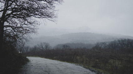Obraz na płótnie Canvas fog morning in the winter january mountains near rural empty road