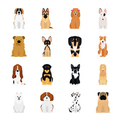 cartoon pug and dogs icon set, flat style