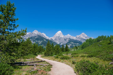 Fototapeta na wymiar This is a view of the trail that leads to Taggart Lake. Shown here are the South Teton, Nez Perce, Middle Teton, Grand Teton, Mt. Owen and Teewinot (left to right) peaks. Grand Teton National Park