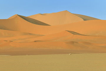 Fototapeta na wymiar SAFARI IN THE SAHARA DESERT IN ALGERIA. SAND DUNES IN TADRART NATIONAL PARK.