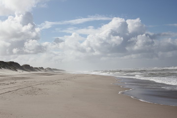 empty, sunny beach after storm at the baltic sea